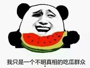 没感情吃瓜群众,没感情吃瓜群众的独特视角