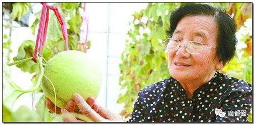 吃瓜群众的老奶奶视频播放,老奶奶吃瓜群众视角下的视频播放揭秘
