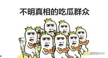 吃瓜群众看得,吃瓜群众眼中的明星生活