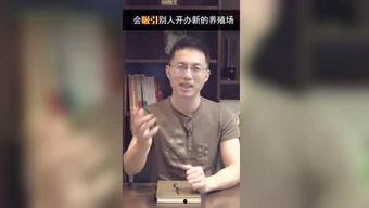 吃瓜群众二毛,吃瓜群众的独特视角