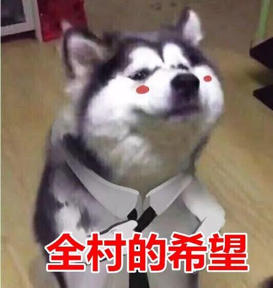 吃瓜群众舔狗图片搞笑表情包,吃瓜群众笑翻天的搞笑瞬间