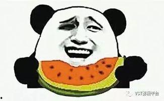 大舌头吃瓜群众,趣味横生的娱乐圈八卦解析