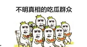 当吃瓜群众有多少人,揭秘庞大群体背后的生活百态