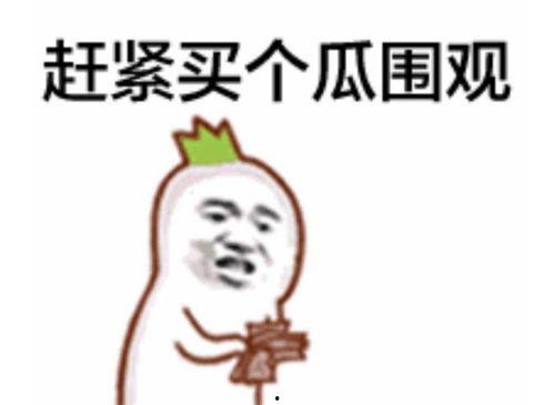 吃瓜群众发型图片,吃瓜群众发型图片解析