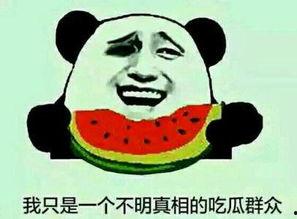 吃瓜群众离职怎么办,应对职场变局的策略解析