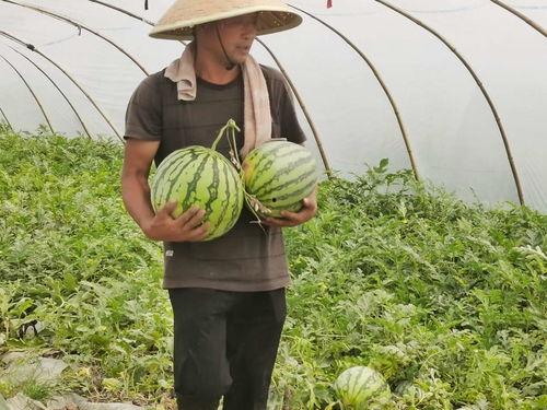 一念关山18集吃瓜群众,吃瓜群众见证风云变幻