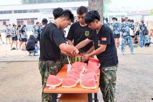 临泉吃瓜群众事件,一场网络舆论的风暴与反思