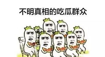 一群不明觉厉的吃瓜群众,不明觉厉背后的故事