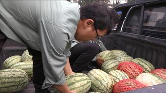 幸福里吃瓜群众,吃瓜群众的欢乐盛宴