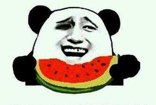 吃瓜群众小雷哥哥视频,揭秘娱乐圈幕后故事