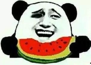 吃瓜群众墨镜,揭秘娱乐圈幕后风云