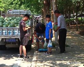 泗洪吃瓜群众事件视频曝光,视频曝光揭示惊人真相