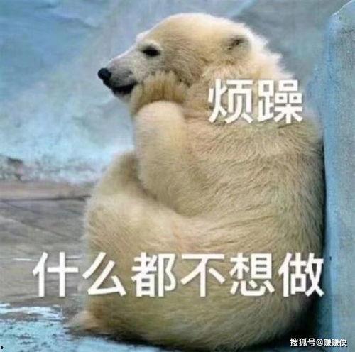 吃瓜群众高兴表情包图片,吃瓜群众欢乐表情包大赏