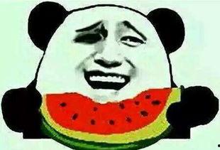 无瓜吃的群众,探寻瓜果稀缺背后的生活画卷