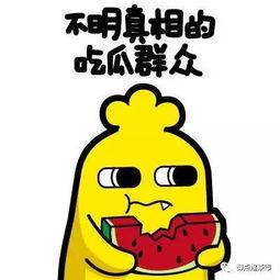 无瓜吃的群众,探寻瓜果稀缺背后的生活画卷