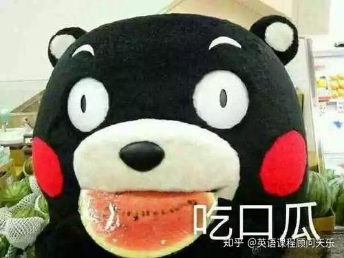 独自吃瓜群众怎么形容,品味人间百态