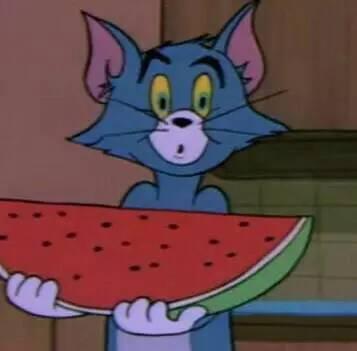 吃瓜群众说说实话,吃瓜群众眼中的真实故事