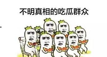 来一组吃瓜群众怎么说,娱乐圈最新热点事件盘点
