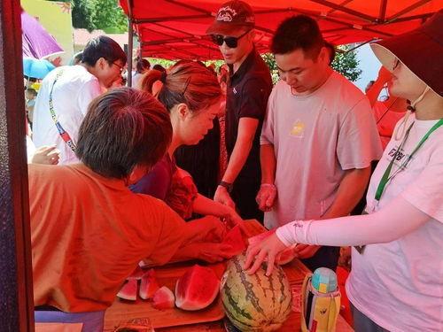 武平吃瓜群众案件,网络舆论下的法律边界探讨