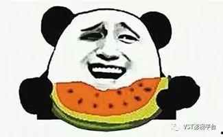 吃瓜不忘种瓜人吃瓜群众