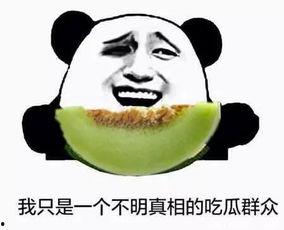 吃瓜不忘种瓜人吃瓜群众