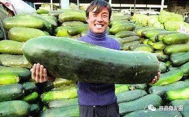 吃瓜群众的第三个瓜,娱乐圈幕后真相大曝光