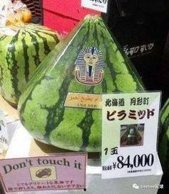 70年代的吃瓜群众,全民吃瓜，见证时代变迁