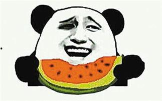 吃瓜群众剥瓜子视频大全,瓜子视频大全趣味盘点